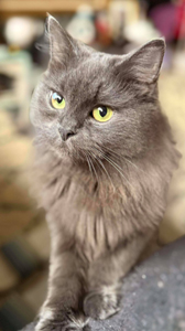 611903221_3410605015758470_5175514729602622770_n