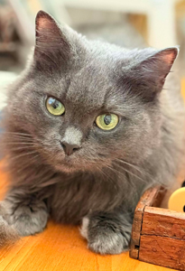 611922301_25831645116526463_2872194413027870713_n