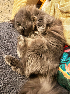 612074519_1587550615732949_916251639485193512_n