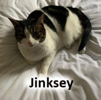 2020 CAT Jinksie march