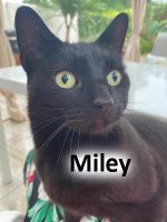 2020 CAT Miley Sept