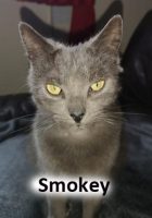 2020 CAT Smokey feb