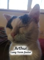 2022 CAT Arthur long foster FEB