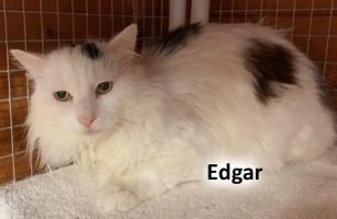 2022 CAT Edgar April