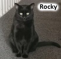 2022 CAT Rocky Jan