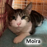 2022 CAT moira march