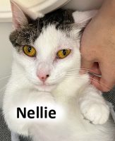 2022 CAT nellie JUNE