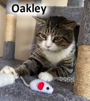 2022 CAT oakley JUNE