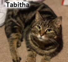 2022 CAT tabitha April