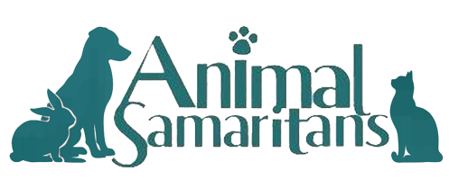 AS logo 2025 green