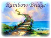 Rainbow-Bridge-3