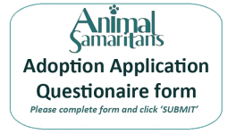 adoption application questionaire logo