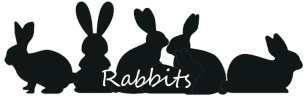 rabbits sign